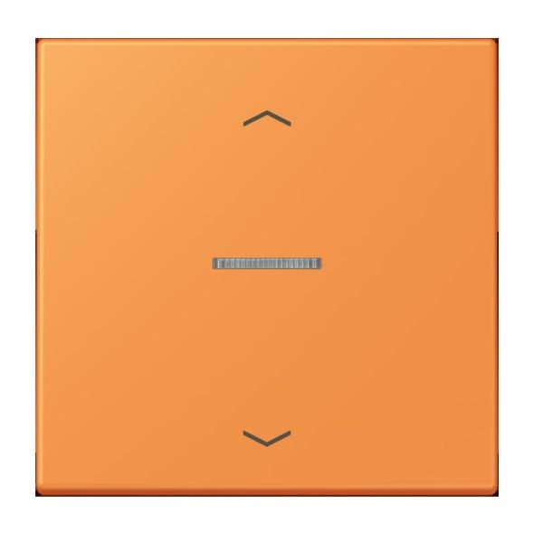 Taster 1fach BT LC 17101 P 225