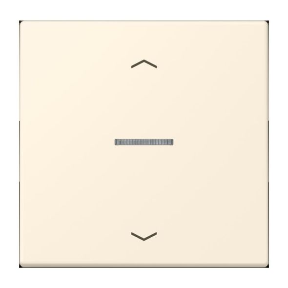 Taster 1fach BT LC 17101 P 245