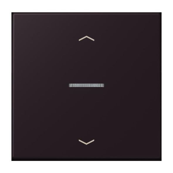 Taster 1fach BT LC 17101 P 248