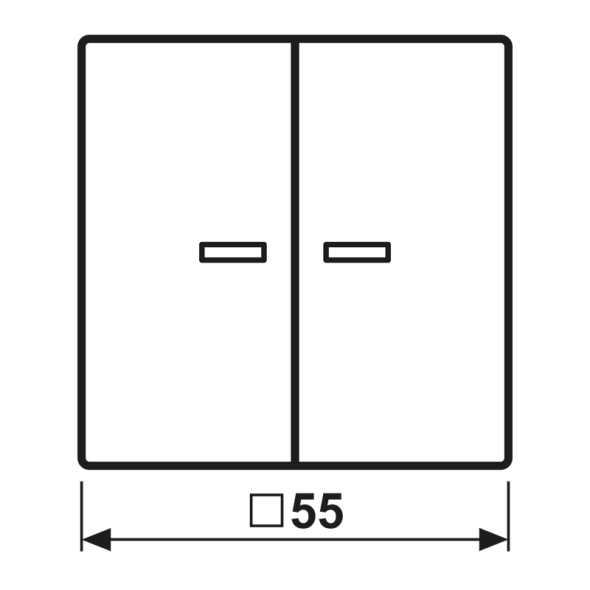 Taster 2fach BT AS 17102 WW
