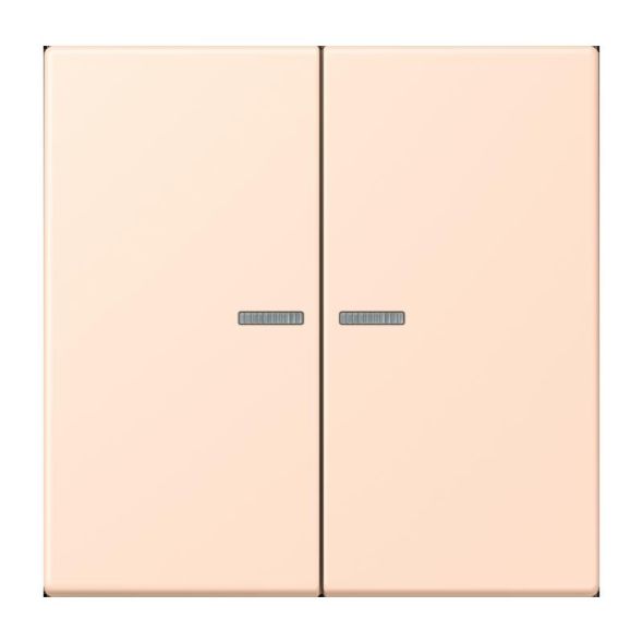 Taster 2fach BT LC 17102 228