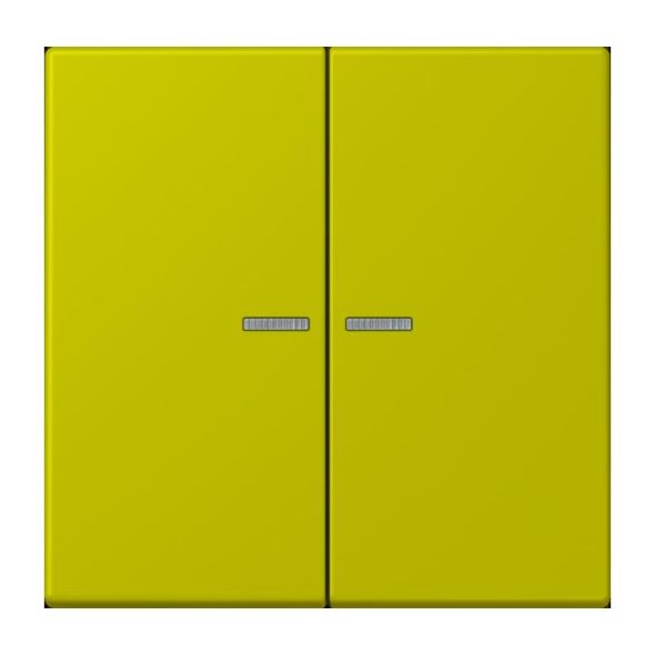 Taster 2fach BT LC 17102 249