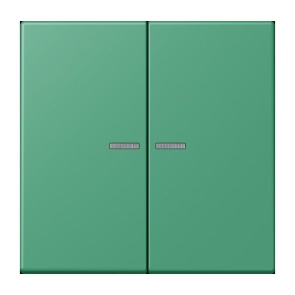 Taster 2fach BT LC 17102 250