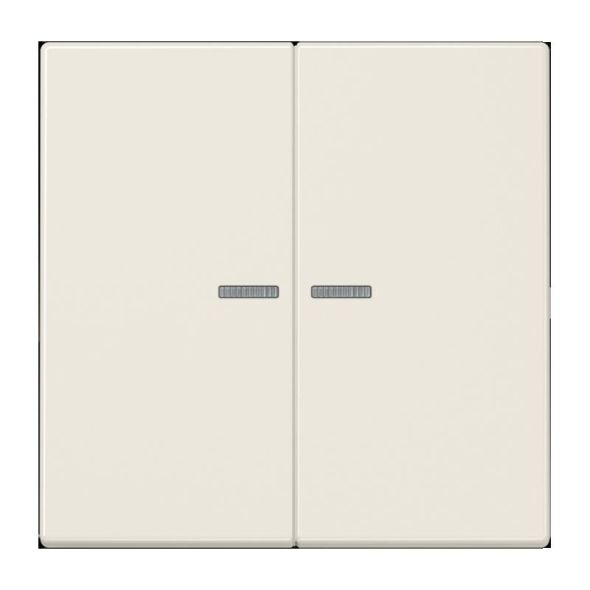 Taster 2fach ws BT LS 17102