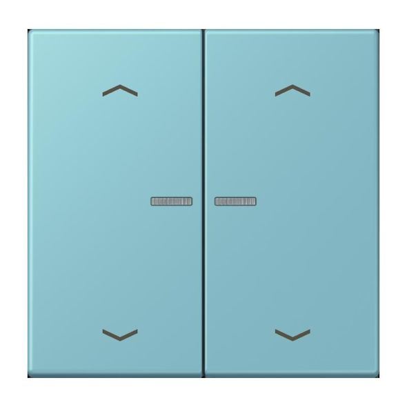 Taster mit Pfeilsymbolen BT LC 17102 P 213