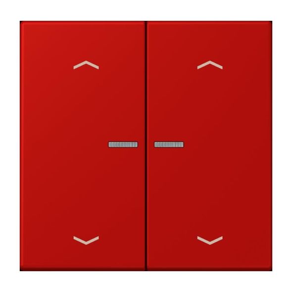 Taster mit Pfeilsymbolen BT LC 17102 P 227