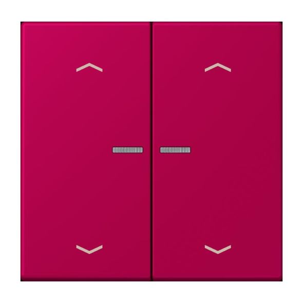 Taster mit Pfeilsymbolen BT LC 17102 P 230