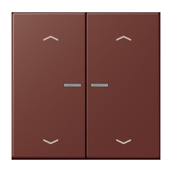 Taster mit Pfeilsymbolen BT LC 17102 P 235