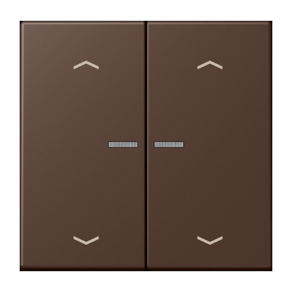 Taster mit Pfeilsymbolen BT LC 17102 P 239