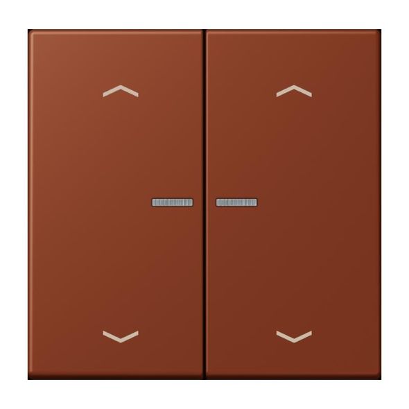 Taster mit Pfeilsymbolen BT LC 17102 P 247