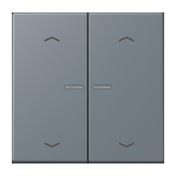 Taster mit Pfeilsymbolen BT LC 17102 P 251