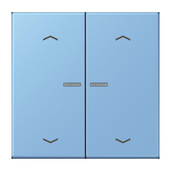 Taster mit Pfeilsymbolen BT LC 17102 P 256