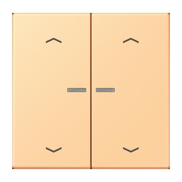 Taster mit Pfeilsymbolen BT LC 17102 P 258