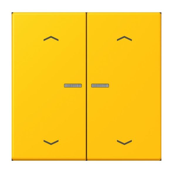 Taster mit Pfeilsymbolen BT LC 17102 P 263