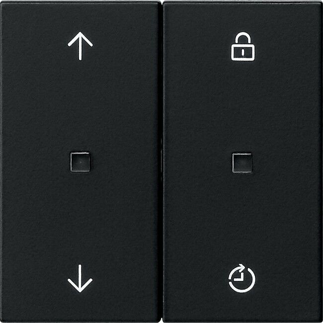 Funk-Bedienaufsatz 5492005 schwarz matt