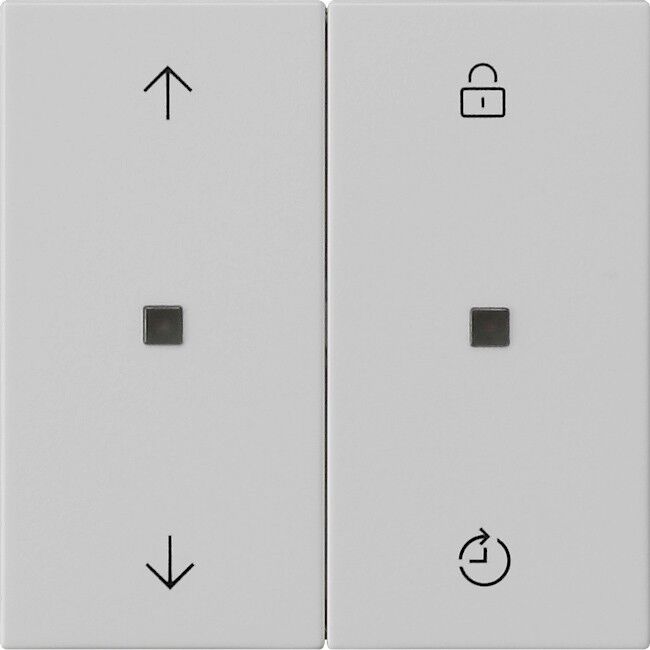 Funk-Bedienaufsatz 5492015 grau matt