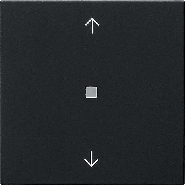 Funk-Bedienaufsatz 5494005 schwarz matt