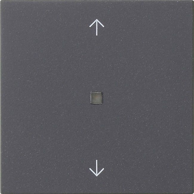 Funk-Bedienaufsatz 549428 anthrazit