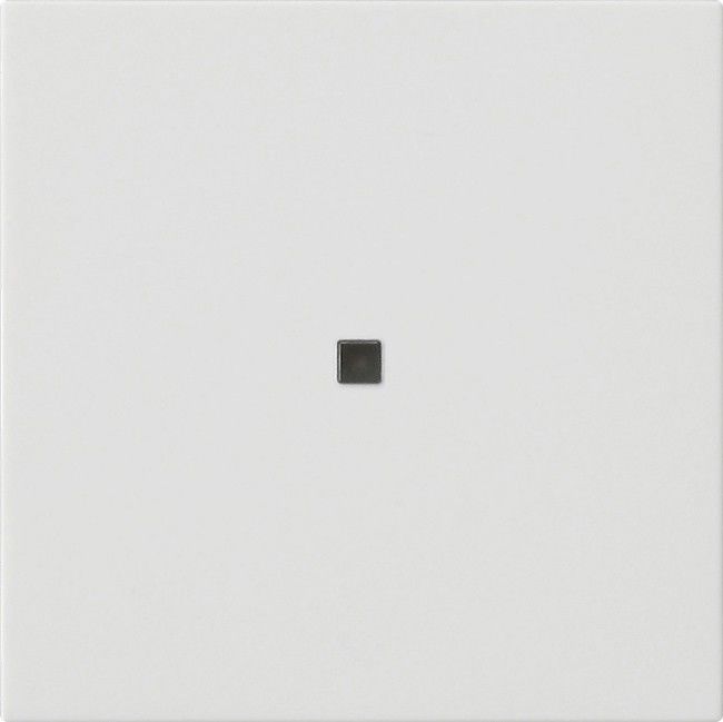 Funk-Bedienaufsatz 549527 reinweiß seidenmatt