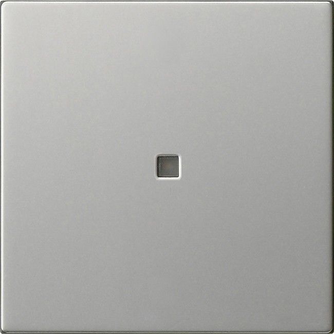 Funk-Bedienaufsatz 5495600 edelstahl