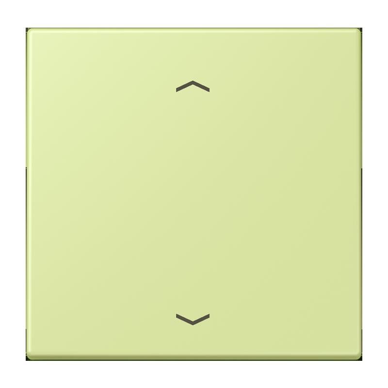 LB-Management Taster 1fach LC 1700 P 222