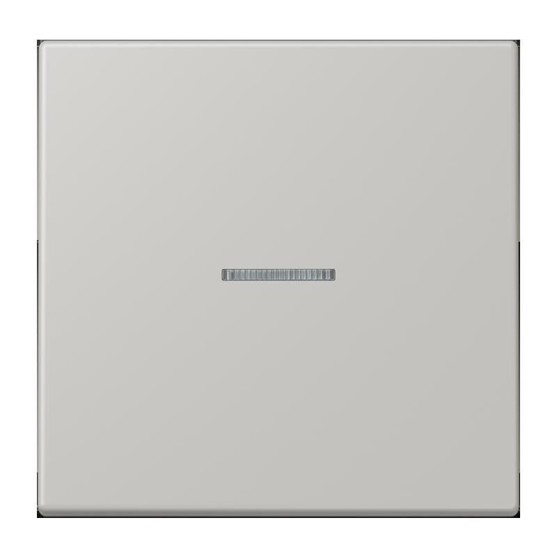 Taster 1fach BT LC 17101 205