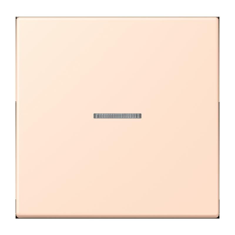 Taster 1fach BT LC 17101 228