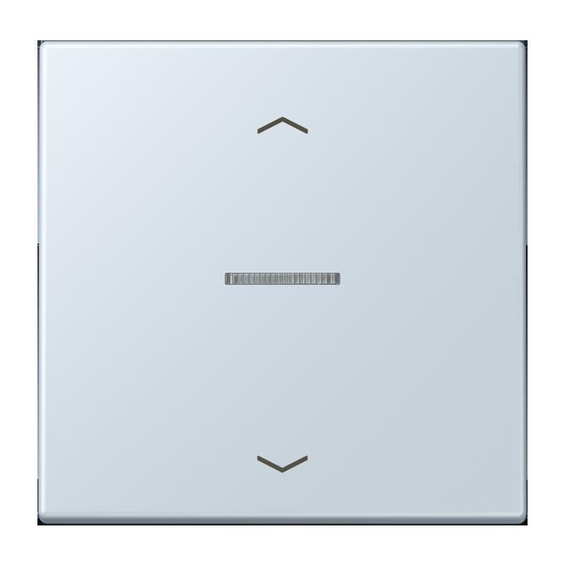 Taster 1fach BT LC 17101 P 209