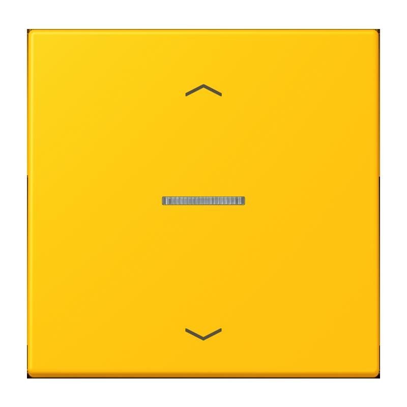 Taster 1fach BT LC 17101 P 263