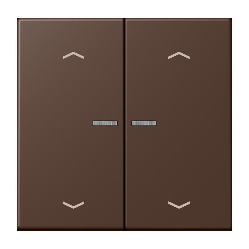 Taster mit Pfeilsymbolen BT LC 17102 P 239