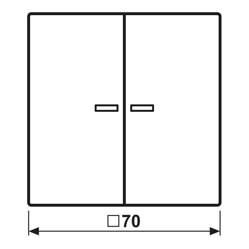 Taster mit Pfeilsymbolen BT LC 17102 P 243