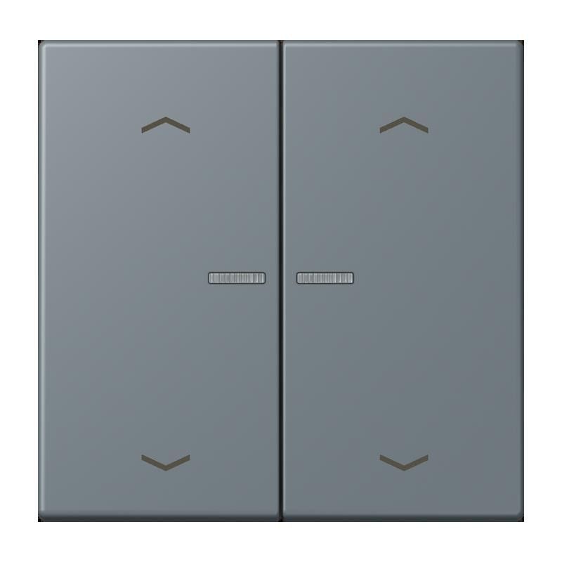 Taster mit Pfeilsymbolen BT LC 17102 P 251