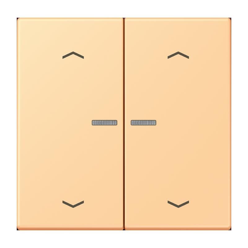 Taster mit Pfeilsymbolen BT LC 17102 P 258