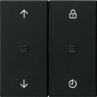 Funk-Bedienaufsatz 5492005 schwarz matt