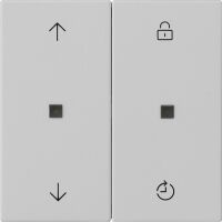 Funk-Bedienaufsatz 5492015 grau matt