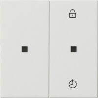 Funk-Bedienaufsatz 549303 reinweiß glänzend 