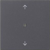 Funk-Bedienaufsatz 549428 anthrazit