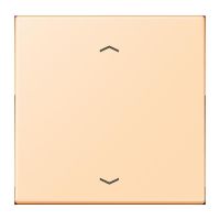 LB-Management Taster 1fach LC 1700 P 223