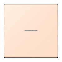 Taster 1fach BT LC 17101 228