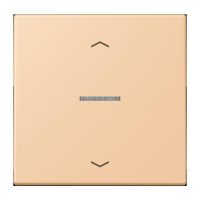 Taster 1fach BT LC 17101 P 237