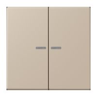 Taster 2fach BT LC 17102 243