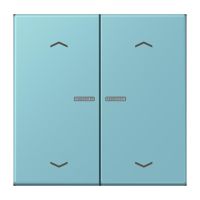 Taster mit Pfeilsymbolen BT LC 17102 P 213