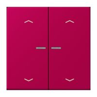 Taster mit Pfeilsymbolen BT LC 17102 P 230