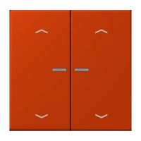 Taster mit Pfeilsymbolen BT LC 17102 P 244