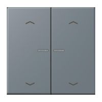 Taster mit Pfeilsymbolen BT LC 17102 P 251