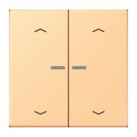 Taster mit Pfeilsymbolen BT LC 17102 P 258