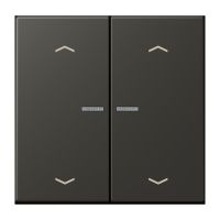 Taster mit Pfeilsymbolen BT LC 17102 P 259