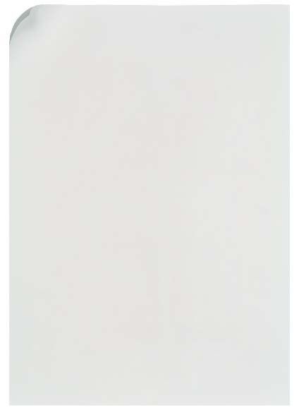 Schildeinlage 733670