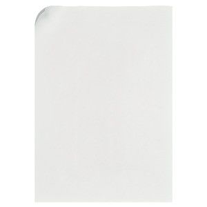 Schildeinlage 733670