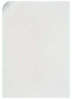 Schildeinlage 733670